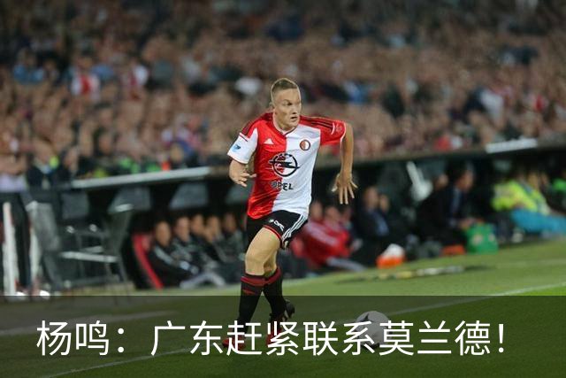 杨鸣：广东赶紧联系莫兰德！